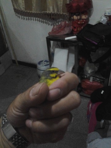 20130927_213057.jpg