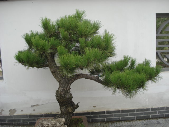 照片（园博会） 019.jpg