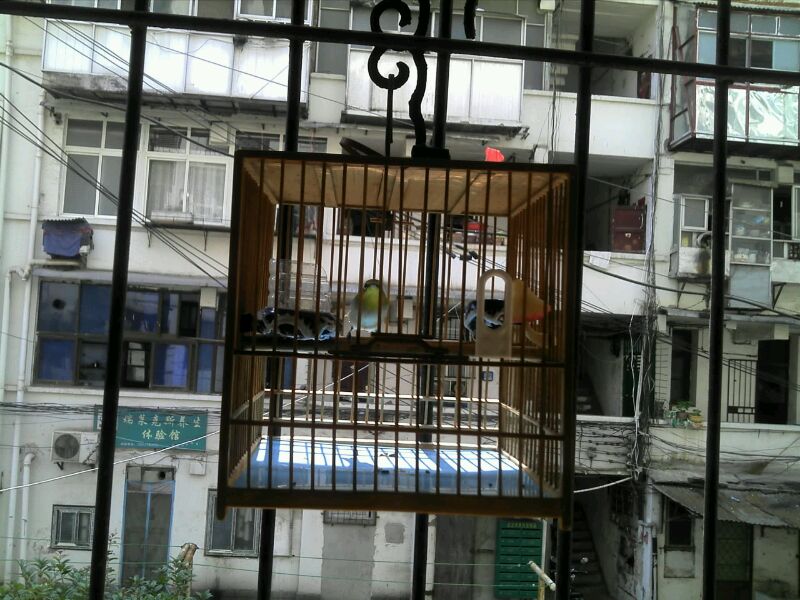 UC_Photo_018.jpg