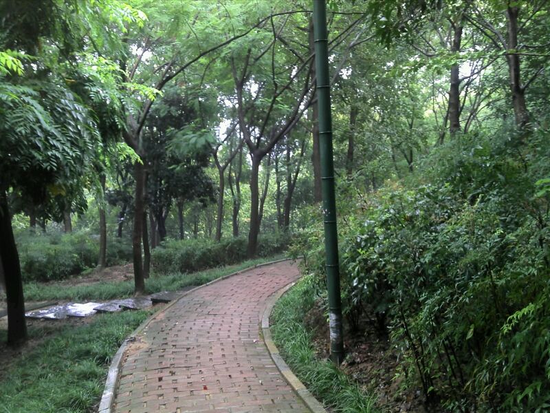 UC_Photo_011.jpg