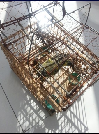 QQ图片20130928123232.jpg