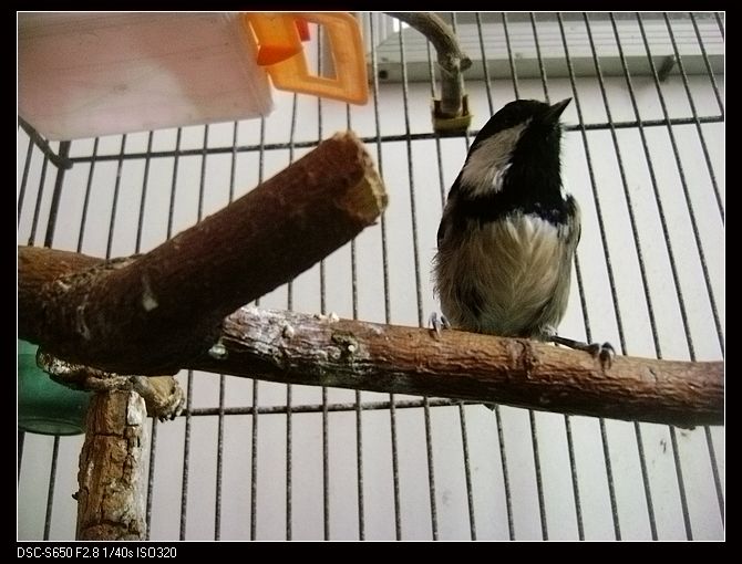 nEO_IMG_DSC02562.jpg
