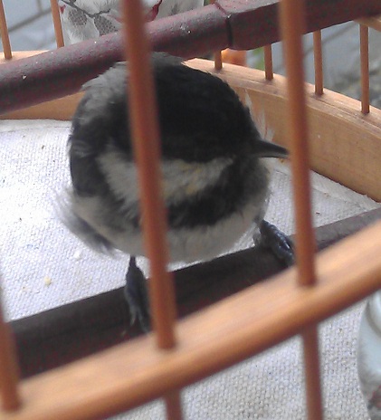 IMAG0015.jpg