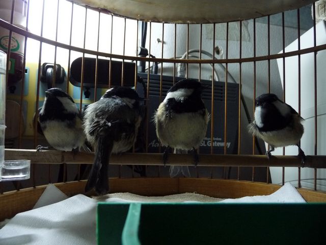 P1060270.JPG
