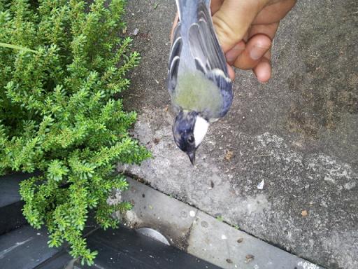 20130907_103755.jpg