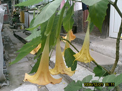 SUNP0062_副本.jpg