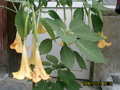 SUNP0064_副本.jpg