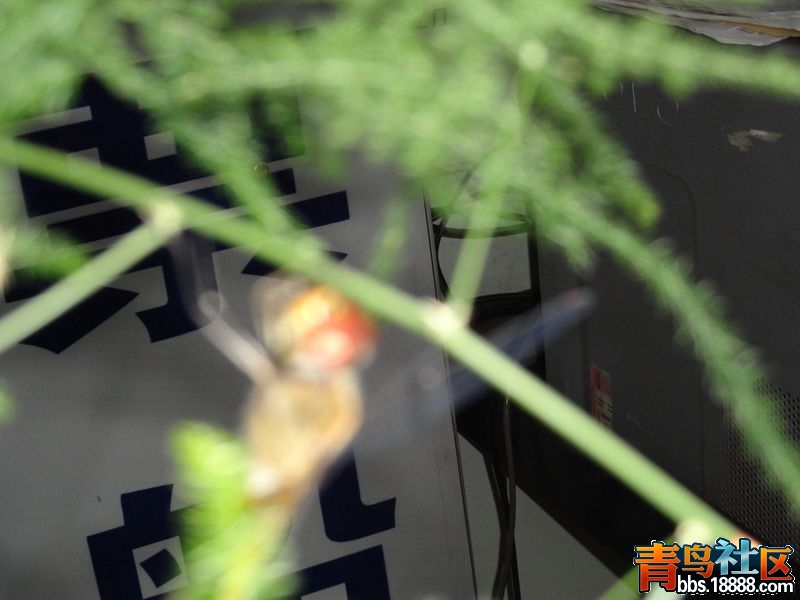 DSC01331新.jpg