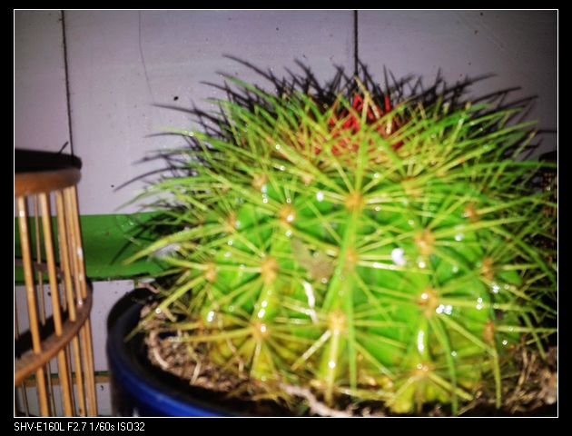 nEO_IMG_20131030_170044.jpg