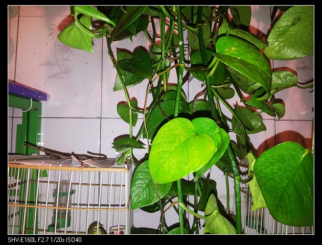 nEO_IMG_20131030_165843.jpg