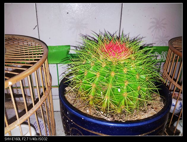 nEO_IMG_20131030_170120.jpg