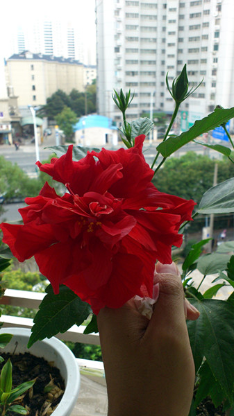 C360_2013-10-30-09-44-40-746.jpg