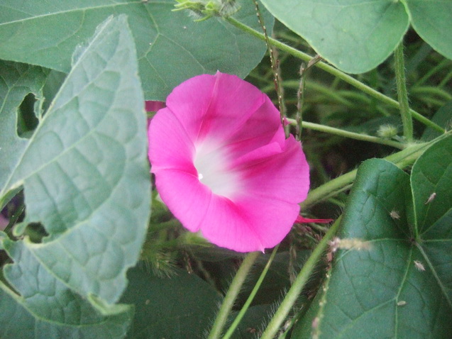 DSCF6790_调整大小.JPG
