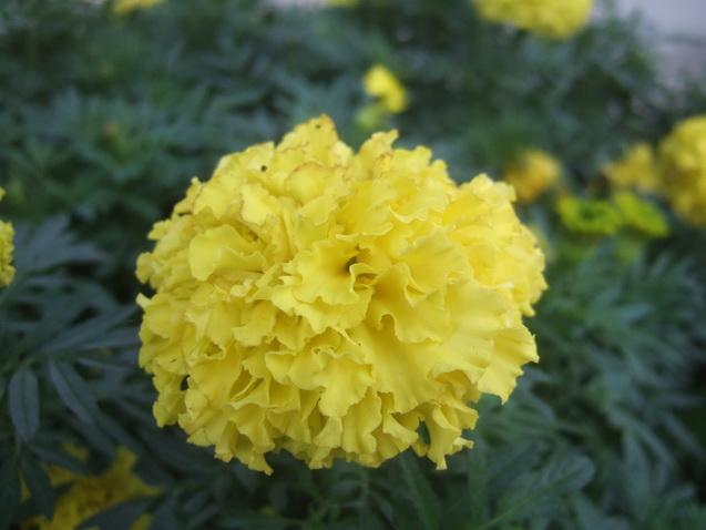 DSCF7548_调整大小.JPG