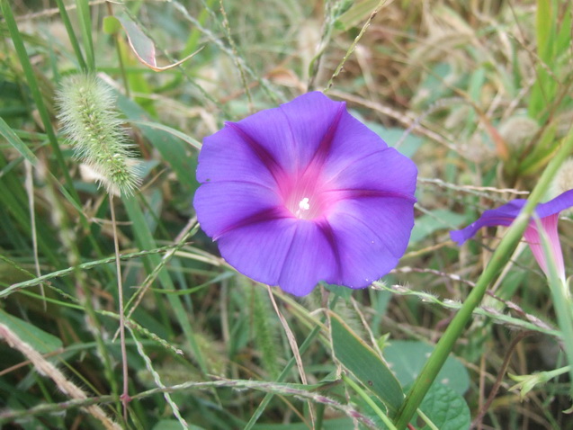 DSCF6796_调整大小.JPG