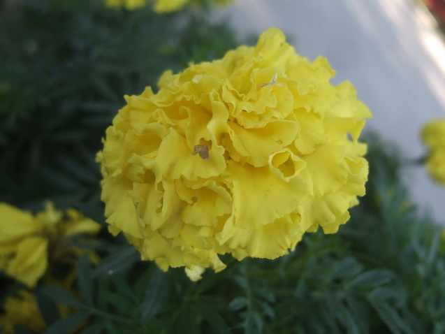 DSCF7549_调整大小.JPG
