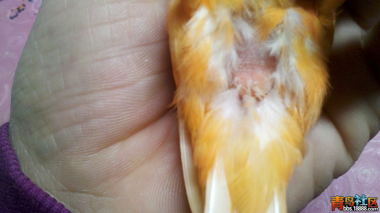 2013-10-16_18-33-14_706_副本.jpg