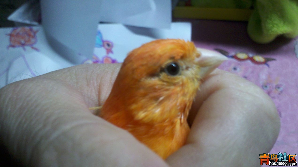 2013-10-16_18-31-50_517_副本.jpg