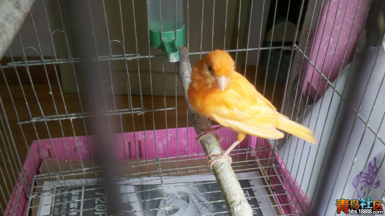 2013-10-16_18-29-08_579_副本.jpg