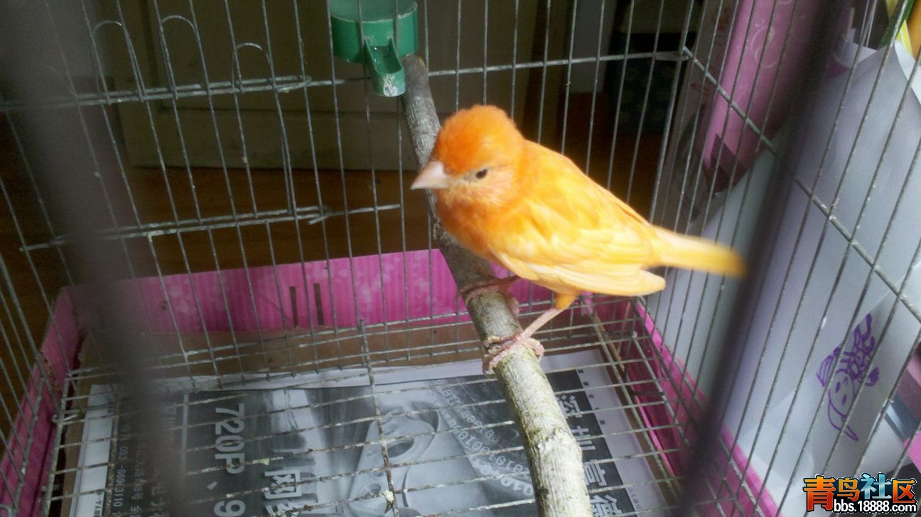 2013-10-16_18-28-56_625_副本.jpg