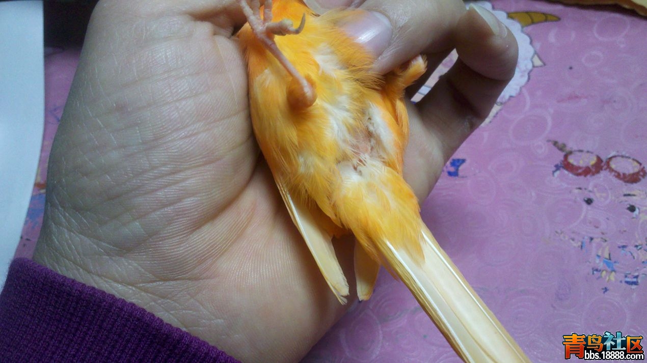 2013-10-16_18-34-08_686_副本.jpg