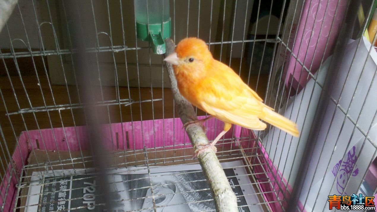 2013-10-16_18-29-16_749_副本.jpg