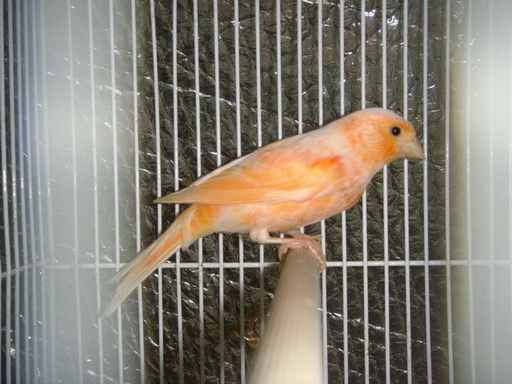 DSC06031_调整大小_调整大小_调整大小.JPG