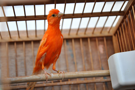 DSC_0122.jpg