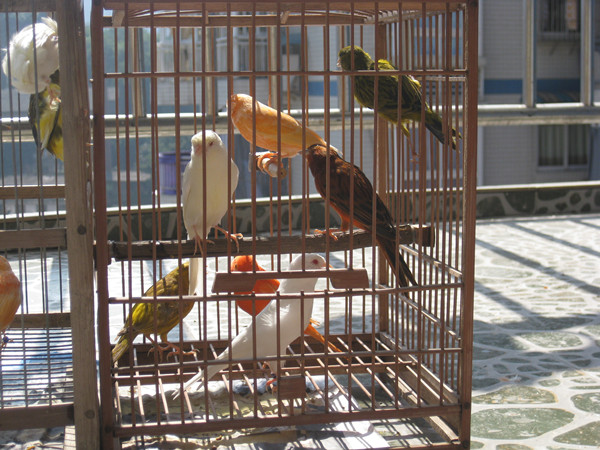 IMG_4615_副本.jpg