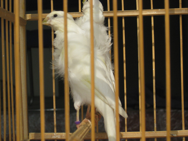 IMG_4489_副本.jpg