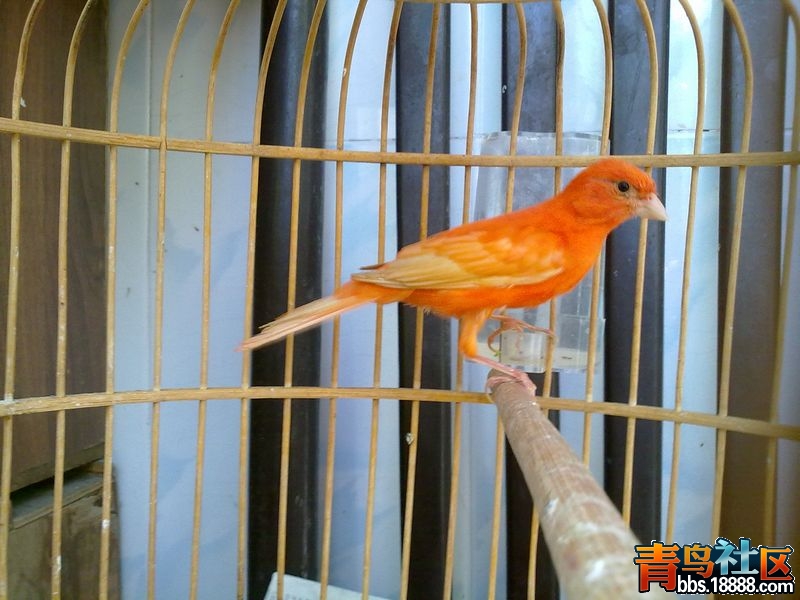 201310121086.jpg