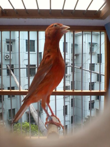 2013-08-11 16.14.57.jpg