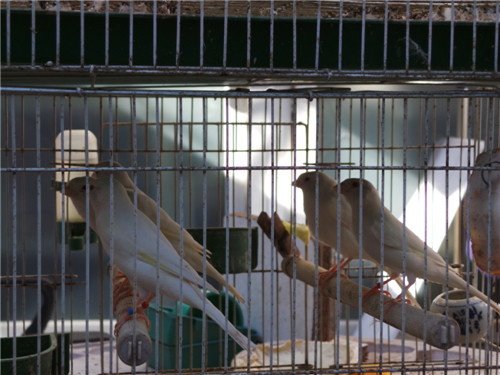 20131002_123510_20.jpg