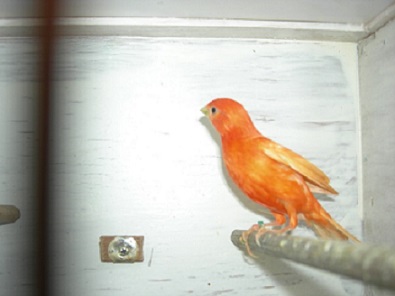 DSCN5728.jpg