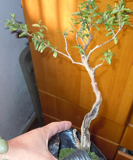 照片 045_副本.jpg
