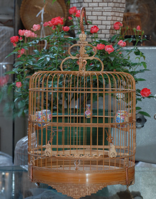 DSC_0022.JPG