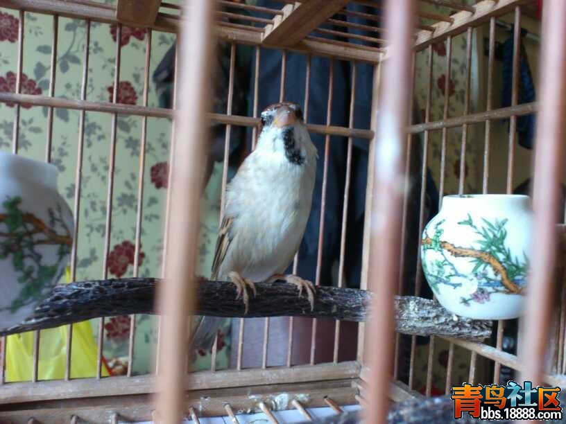 QQ图片20131001144330.jpg