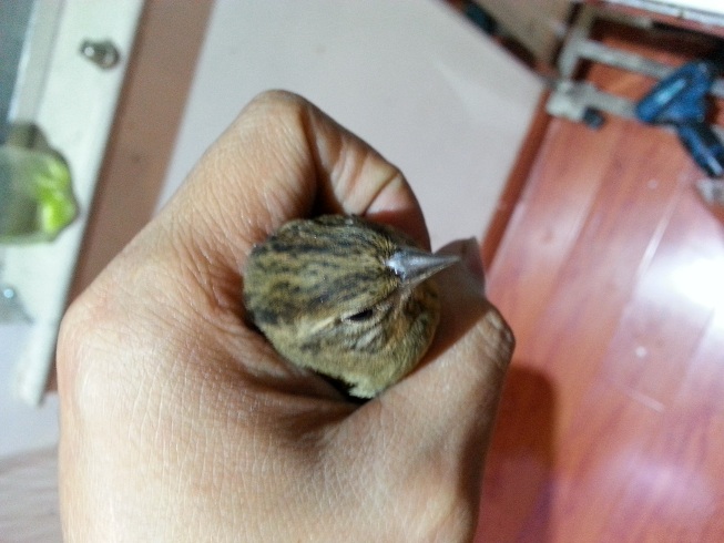 20131020_184850.jpg
