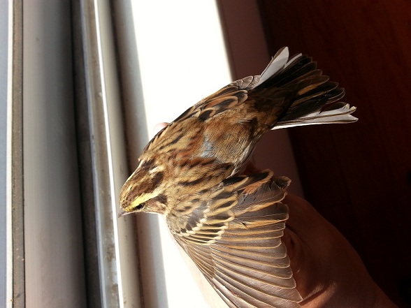 20131023_101442.jpg