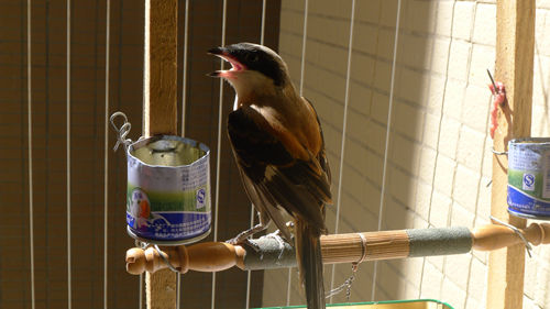 P1020152.JPG
