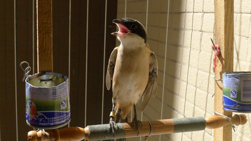 P1020150.JPG