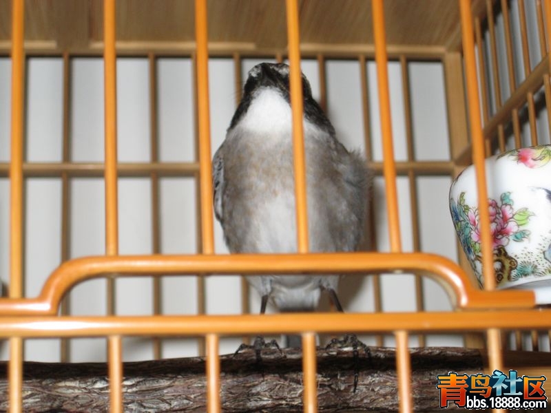 照片 190.jpg