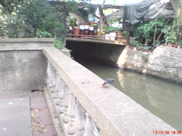 DSC01706.JPG