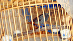 DSC08452.JPG