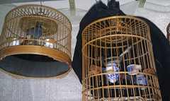 IMAG0022.jpg