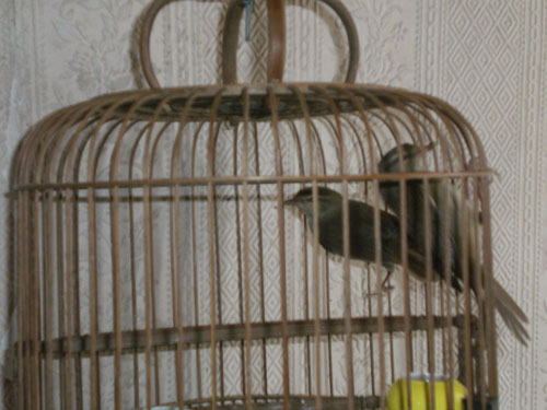 CIMG3947.JPG