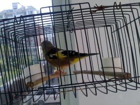 20131020048.jpg