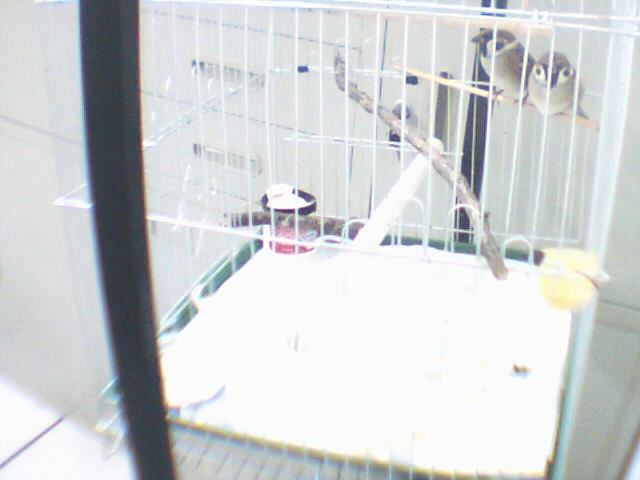 20131030220824.jpg