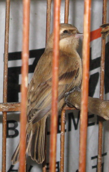 aIMG_6197.jpg