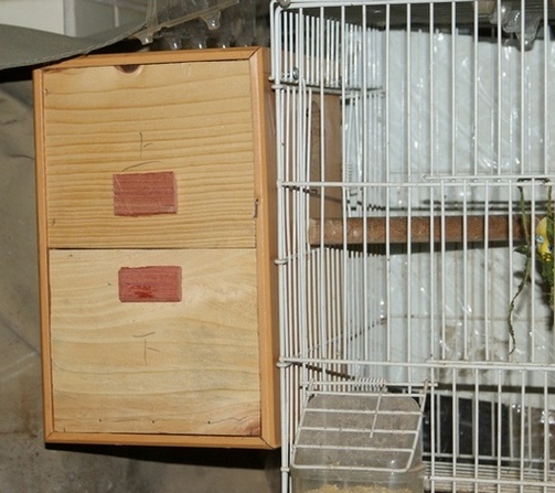 DSC03938_cr.jpg